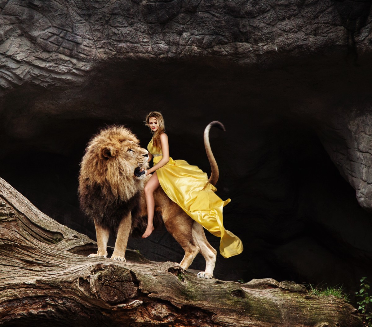 Girl Dreaming With Lion
 Wallpapers