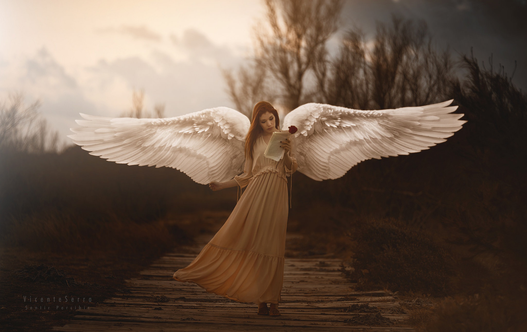 Girl With Wings Angel Wallpapers