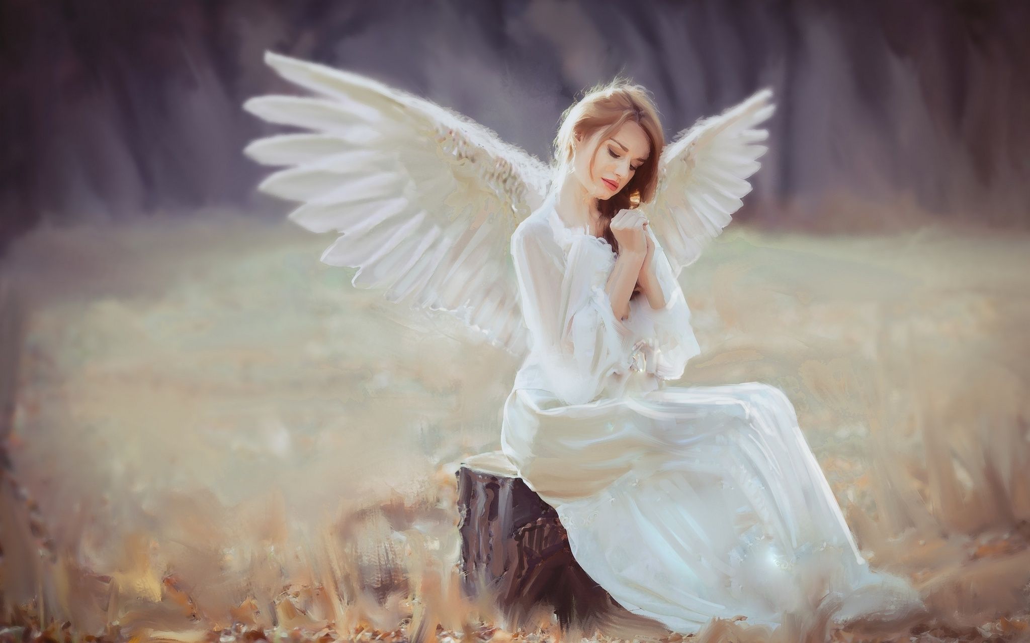 Girl With Wings Angel Wallpapers