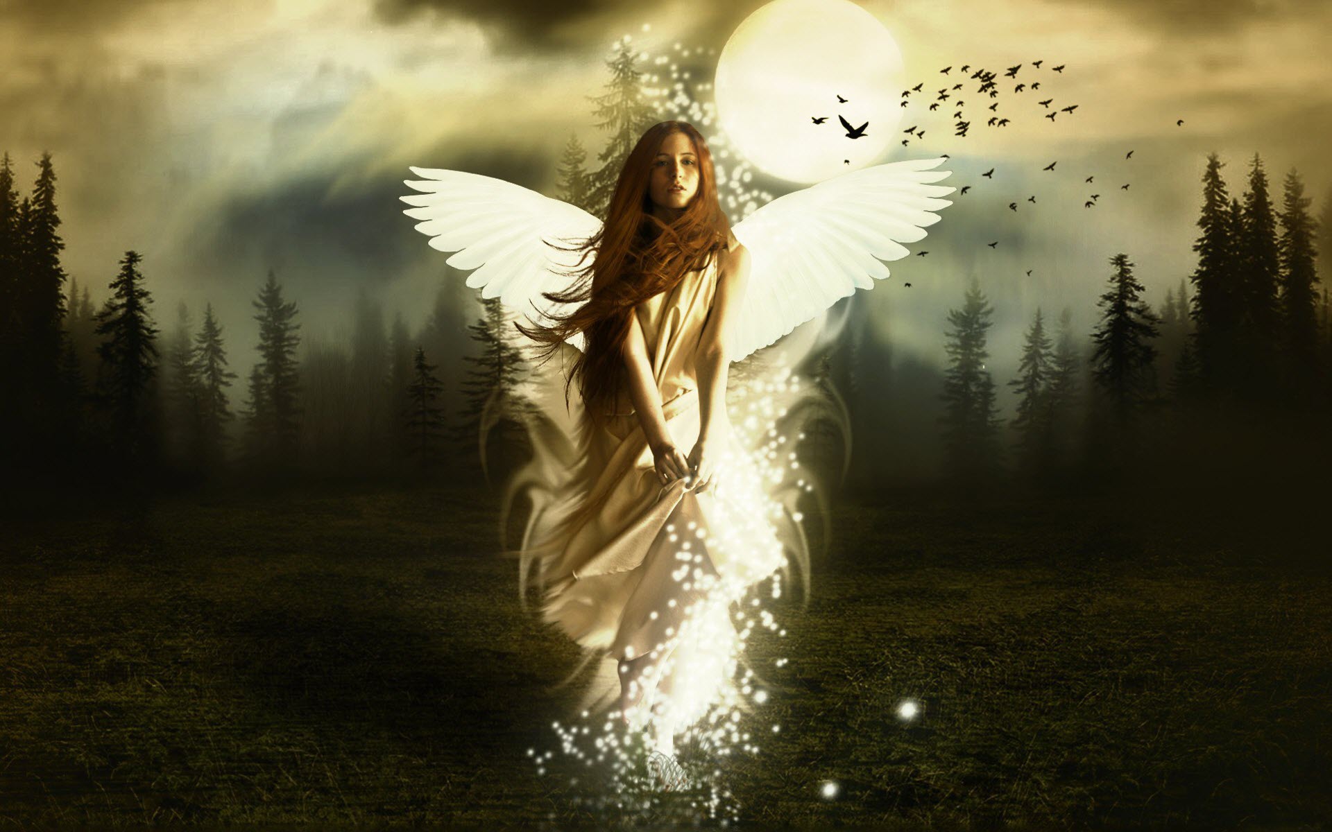 Girl With Wings Angel Wallpapers