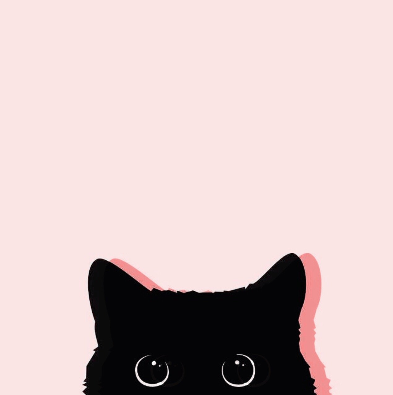 Girly Cute Kitty Wallpapers