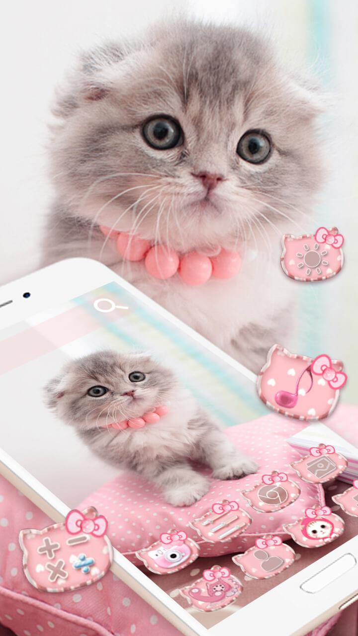 Girly Cute Kitty Wallpapers