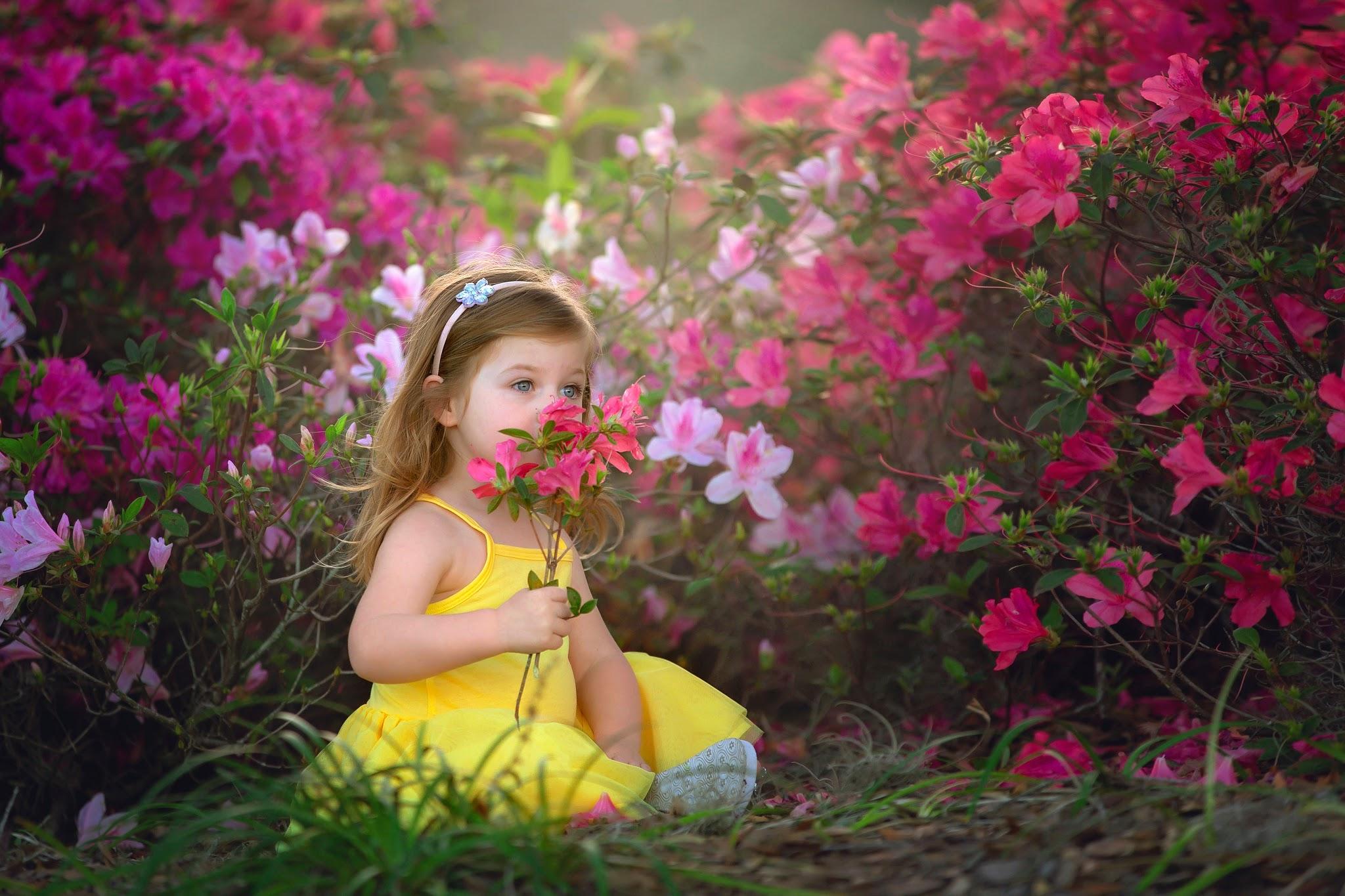 Girly Flower Backgrounds