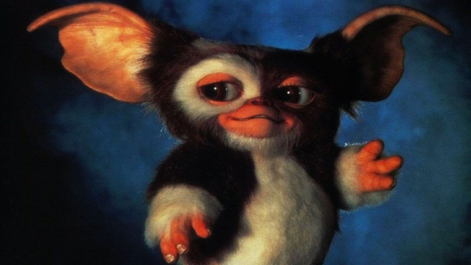 Gizmo Wallpapers