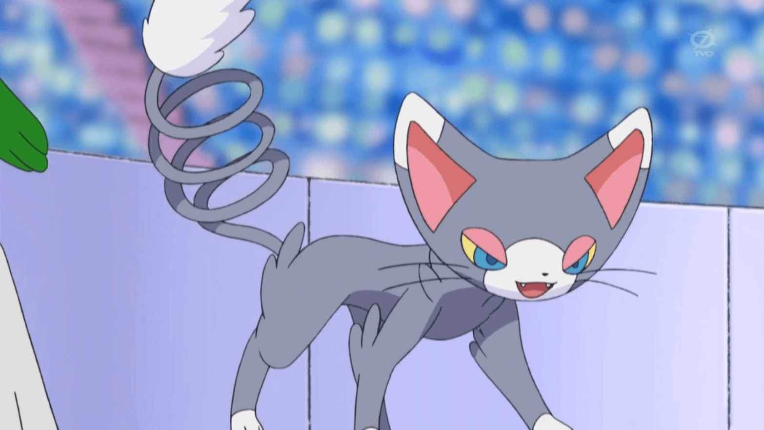 Glameow Hd Wallpapers