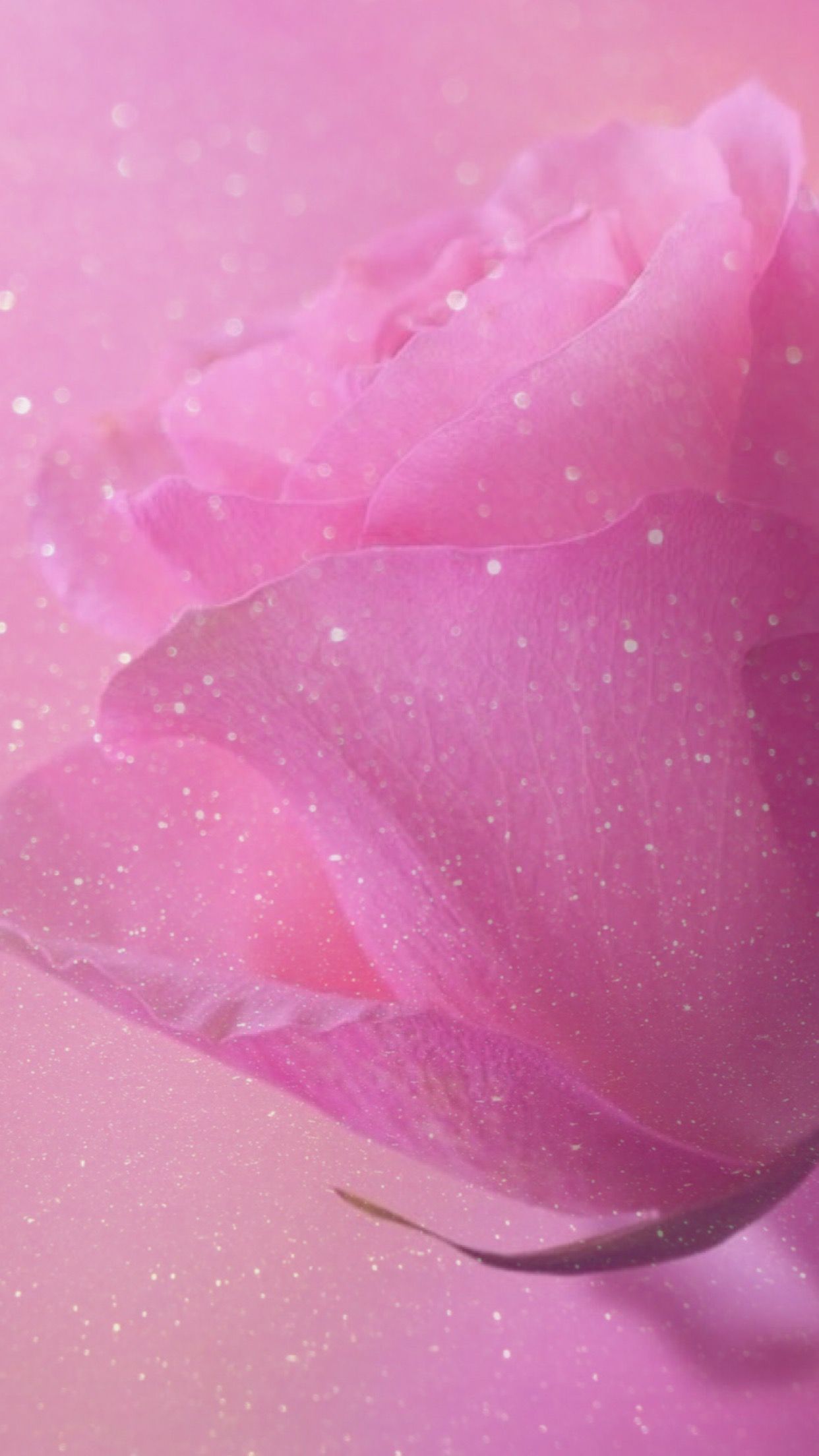 Glitter Flower Wallpapers