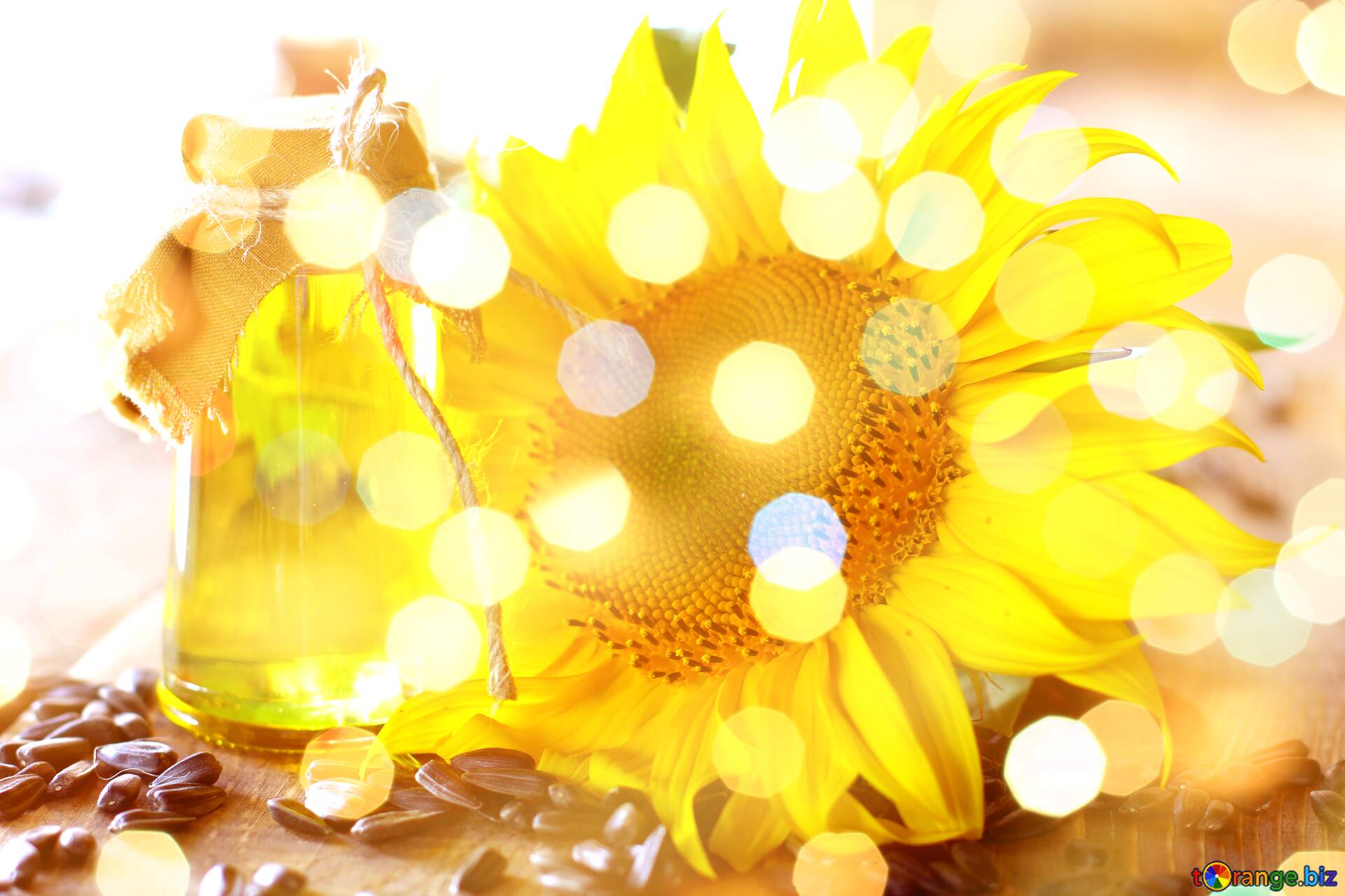 Glitter Sunflower Wallpapers