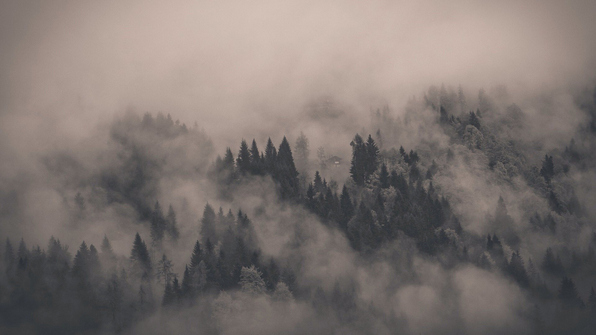 Gloomy Mist Wallpapers