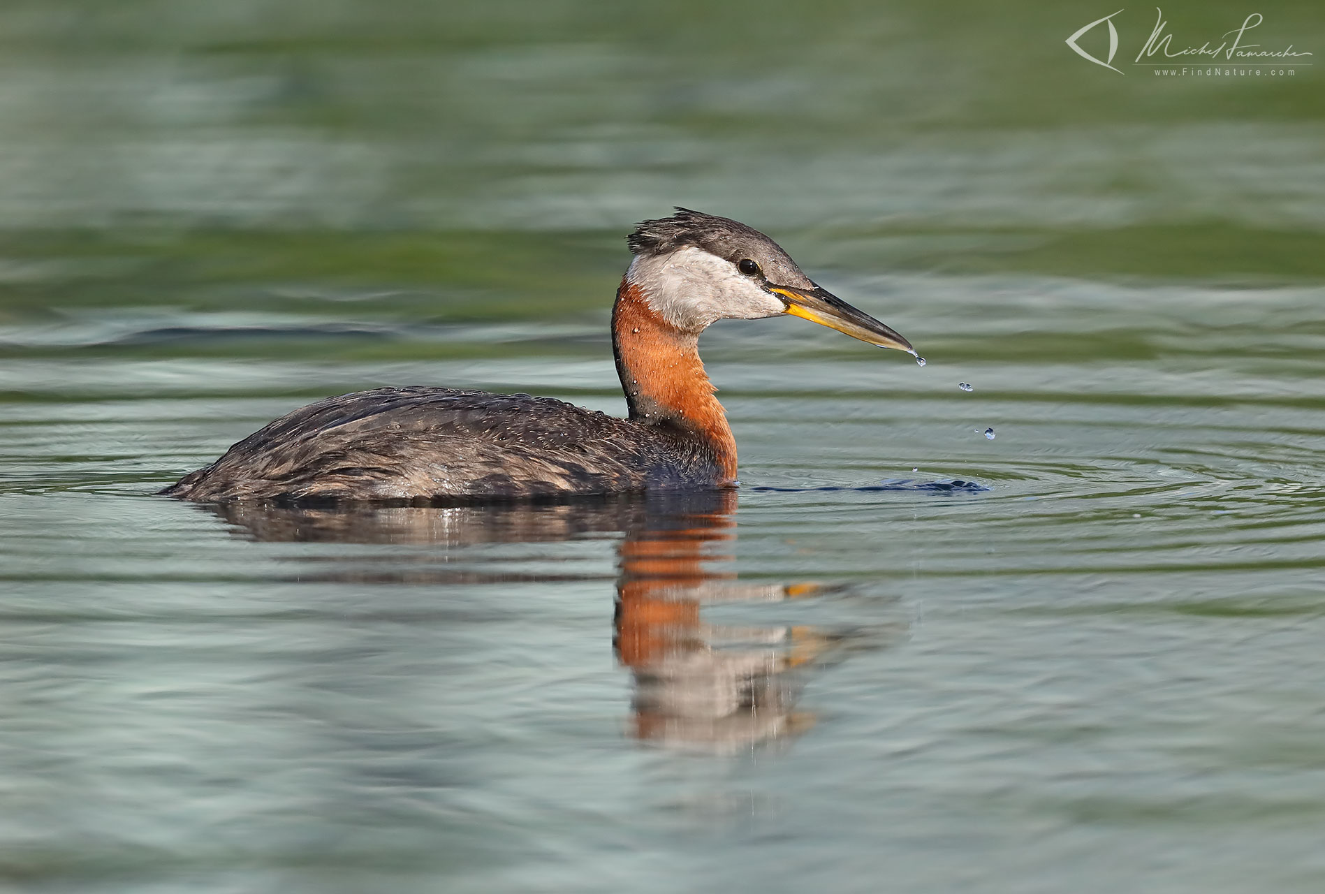 Gloster Grebe Wallpapers