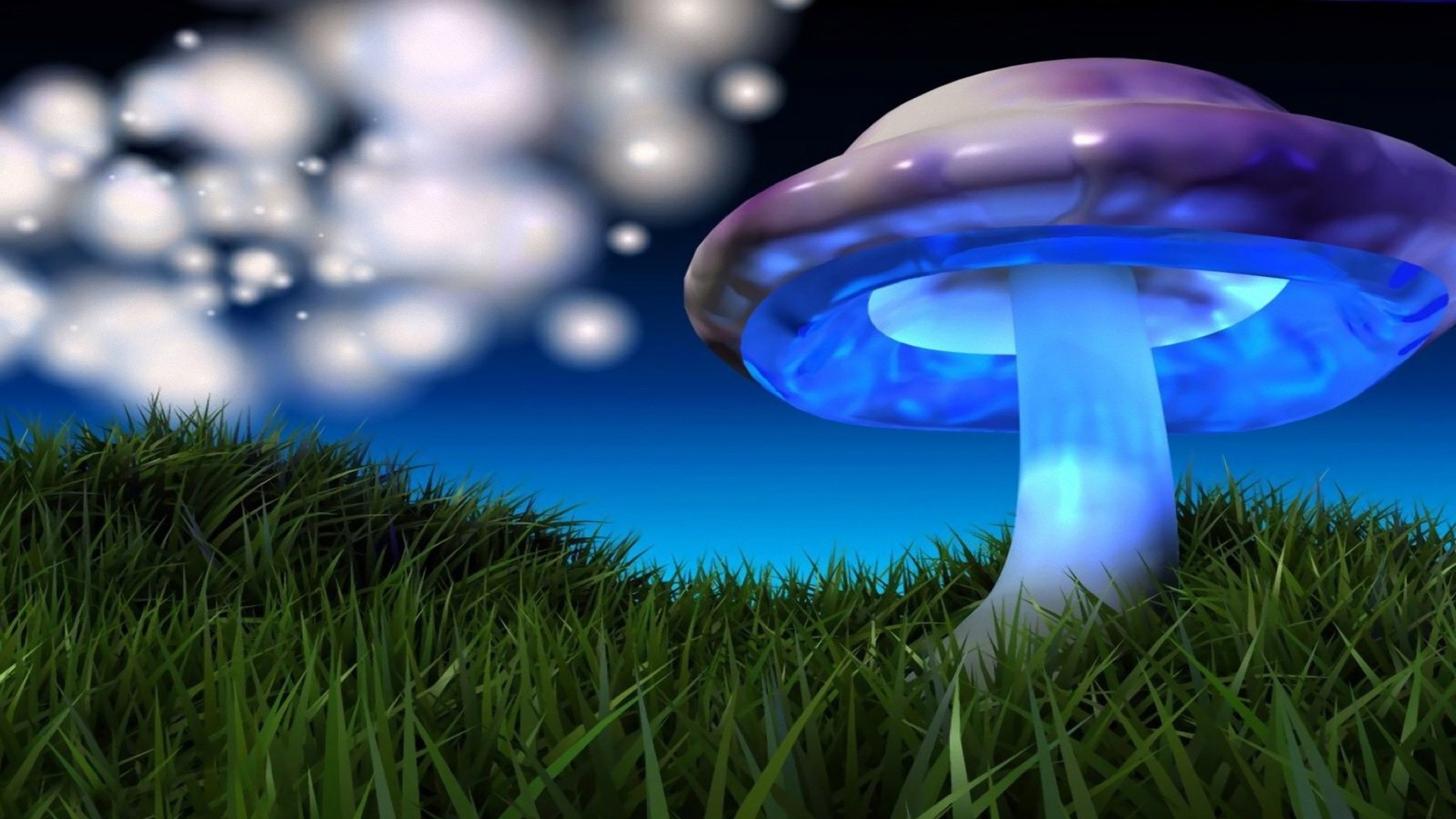 Glowing Mushroom Wallpapers