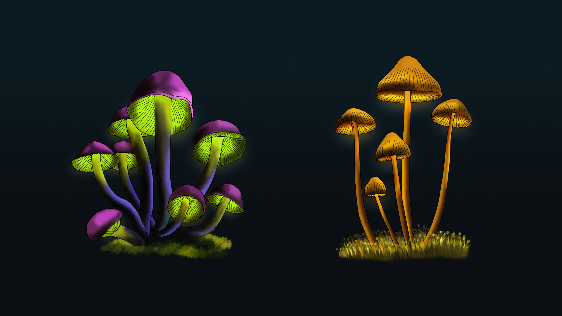 Glowing Mushroom Wallpapers