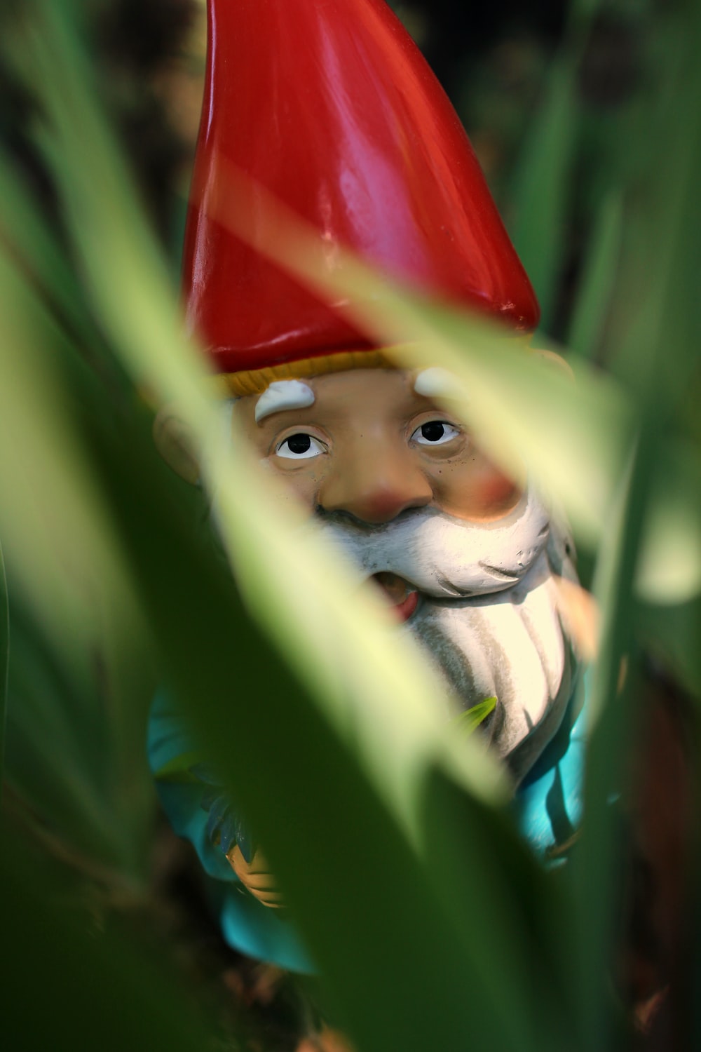 Gnomes Wallpapers