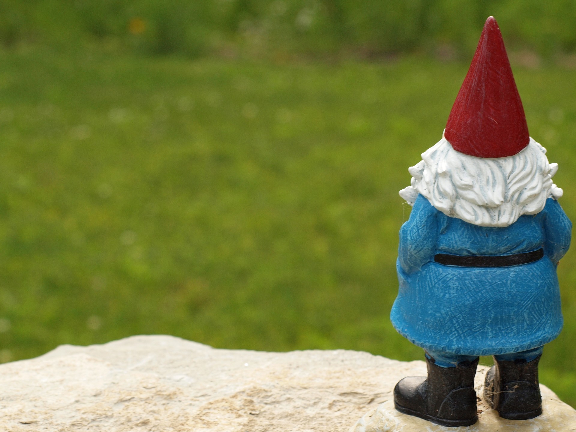 Gnomes Wallpapers