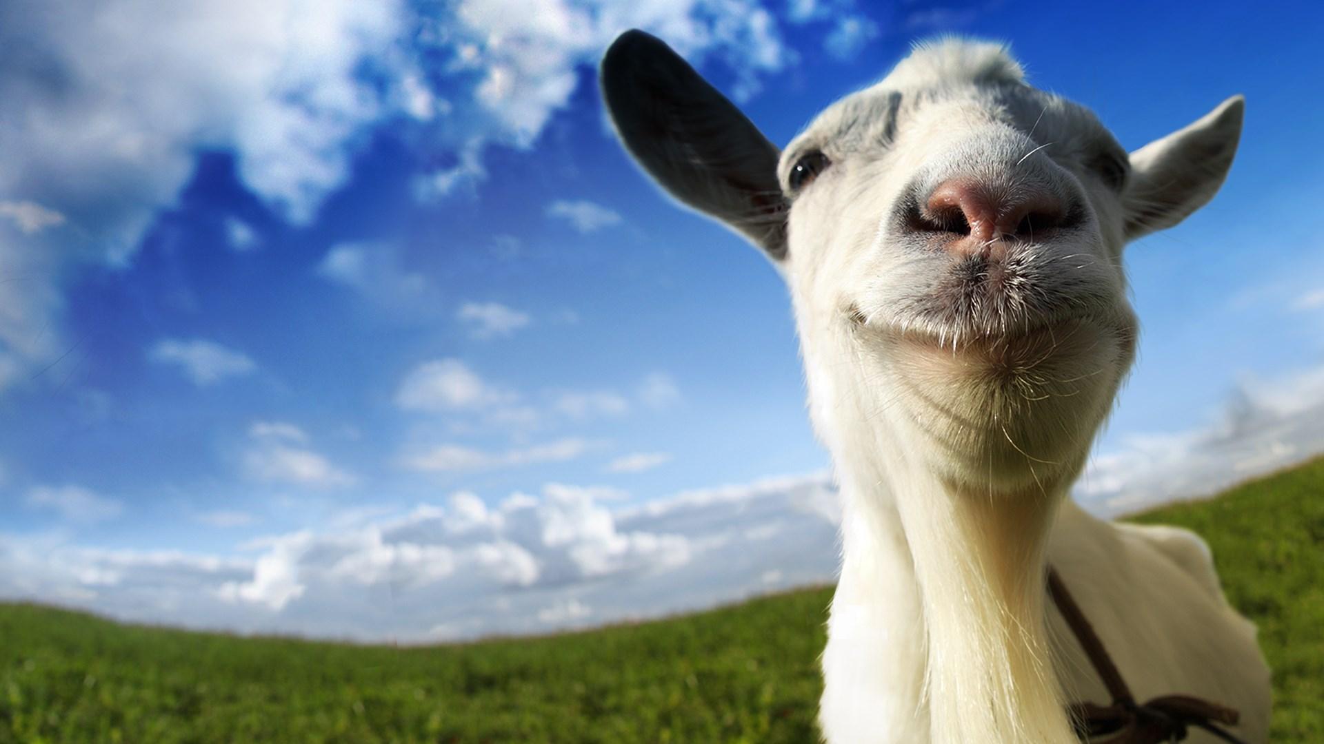 Goat Simulator Wallpapers