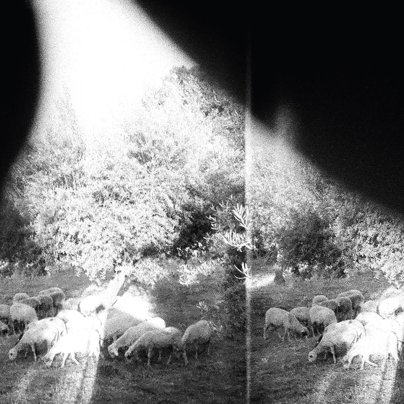 Godspeed You! Black Emperor Wallpapers