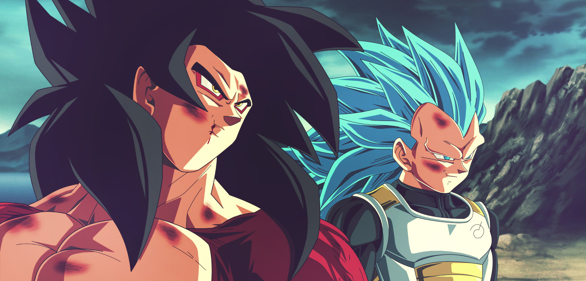 Goku &Amp; Vegeta Ssj4 Wallpapers