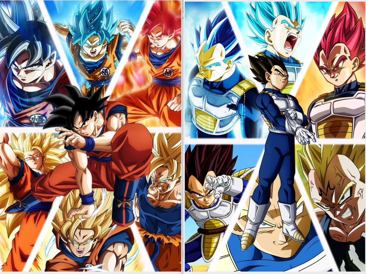 Goku And Vegeta Wallpapers