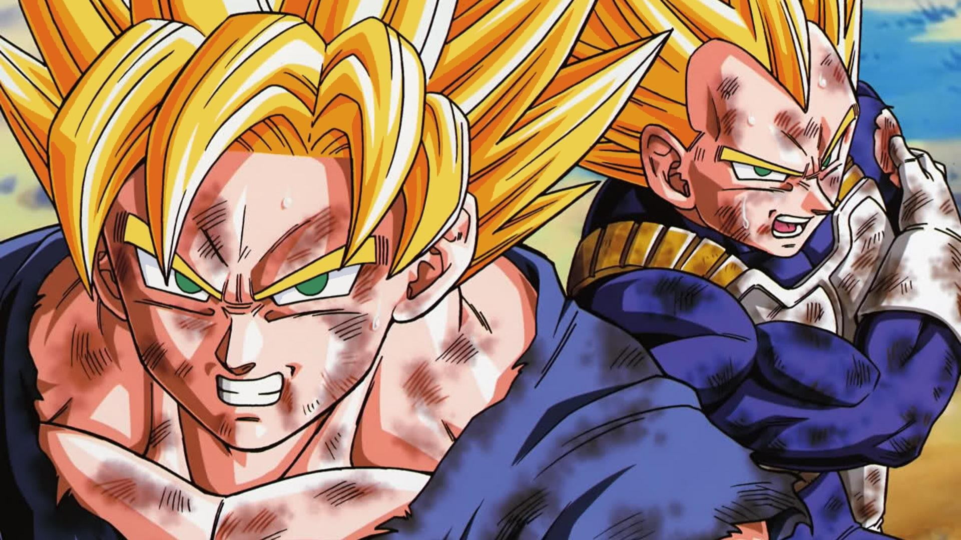 Goku And Vegeta Wallpapers