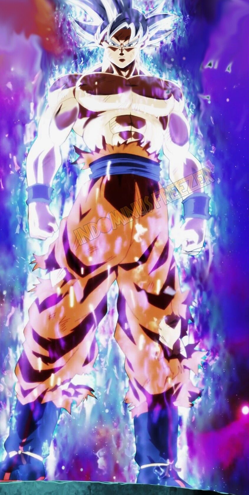 Goku Mastered Ultra Instinct Full Body Wallpapers