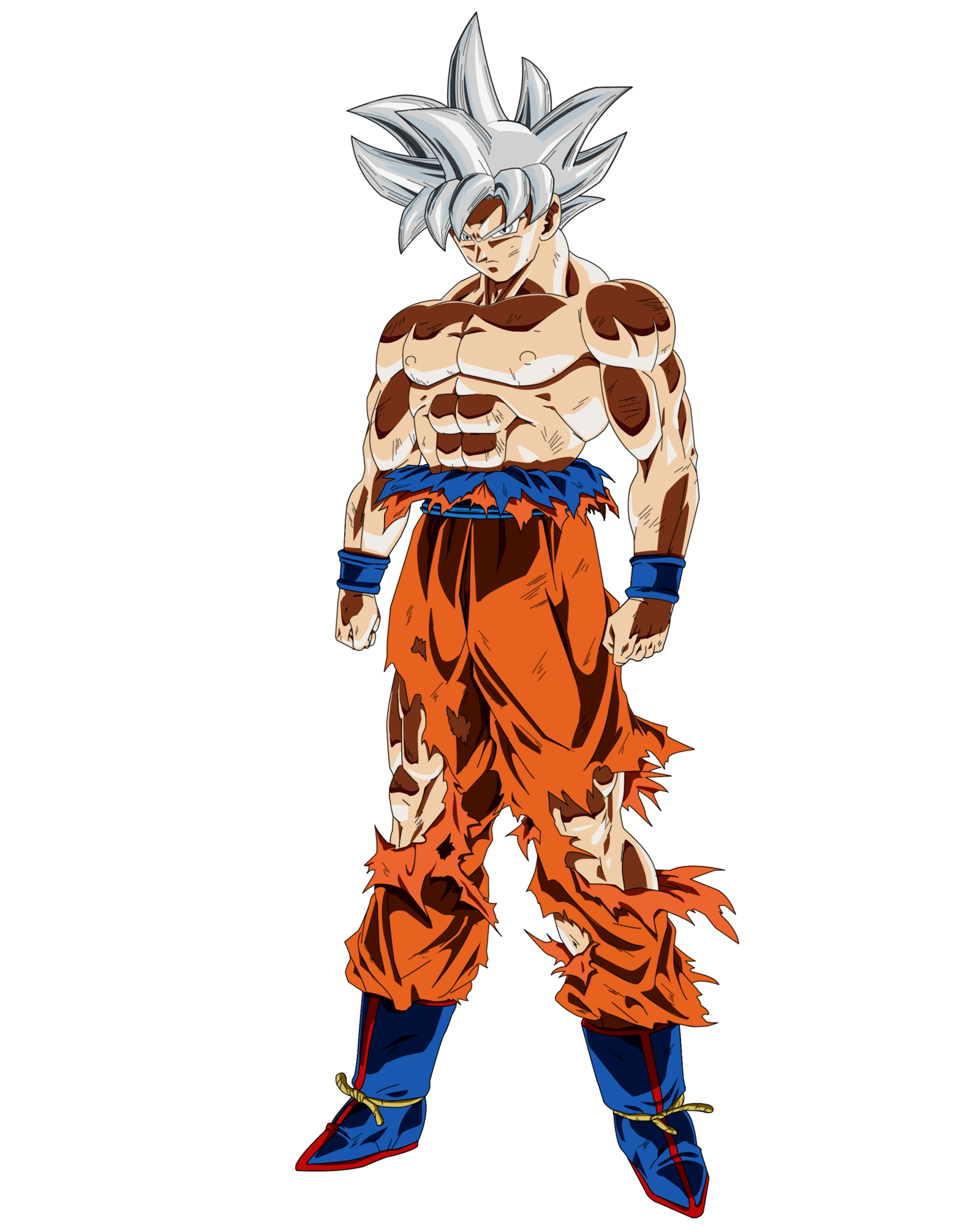 Goku Mastered Ultra Instinct Full Body Wallpapers