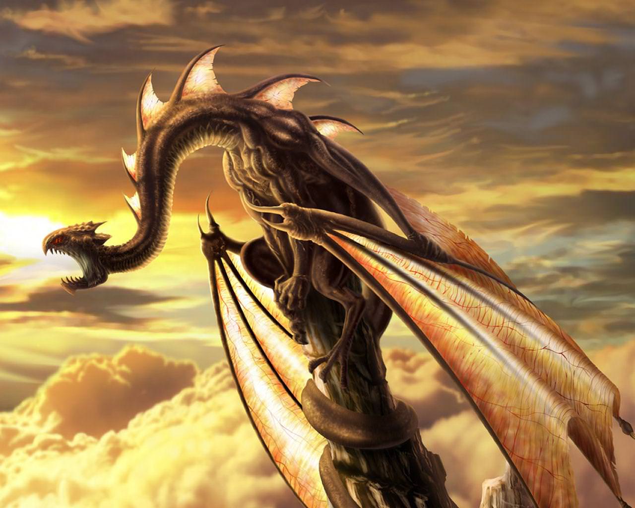 Gold Dragon Wallpapers