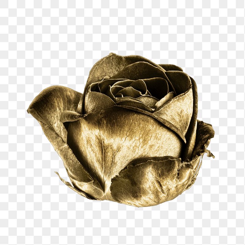 Gold Roses Wallpapers