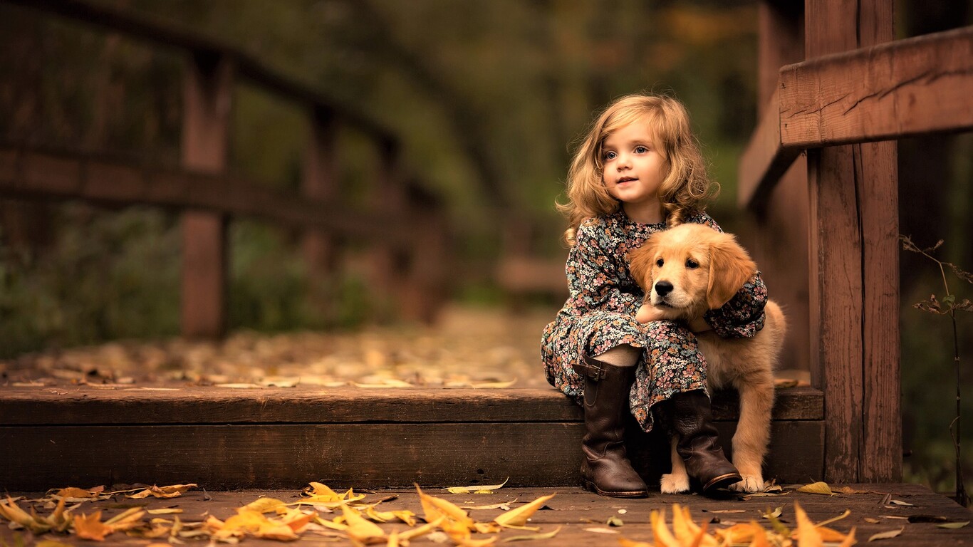 Golden Retriever Puppies Wallpapers