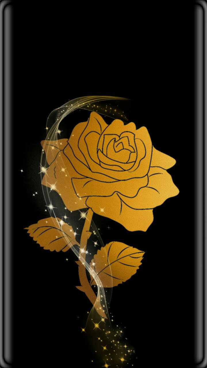 Golden Rose Wallpapers