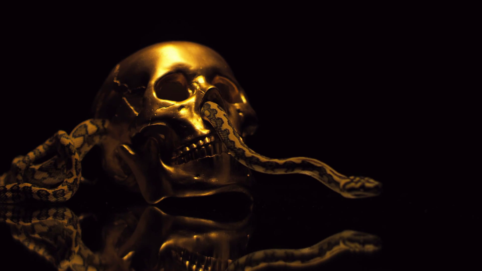 Golden Skull Wallpapers