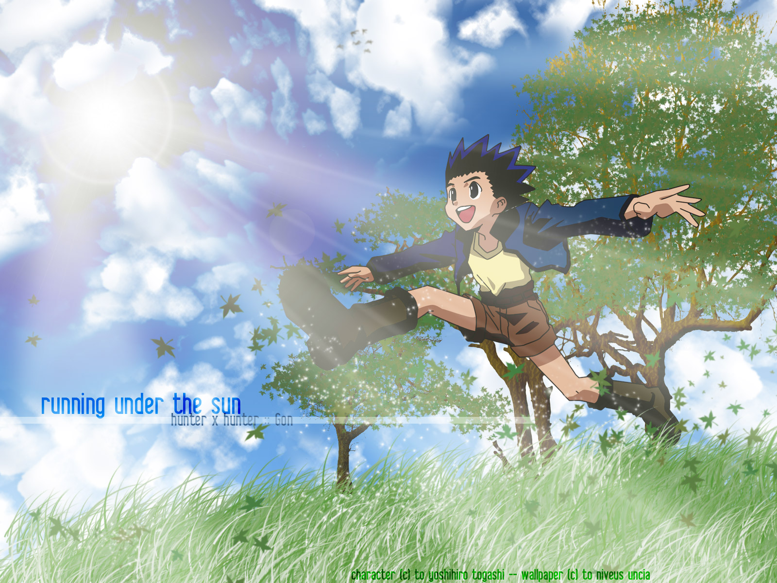 Gon Freecss Wallpapers