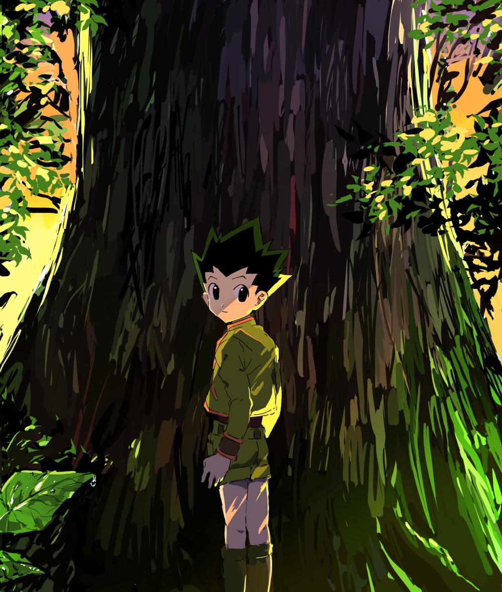 Gon Wallpapers