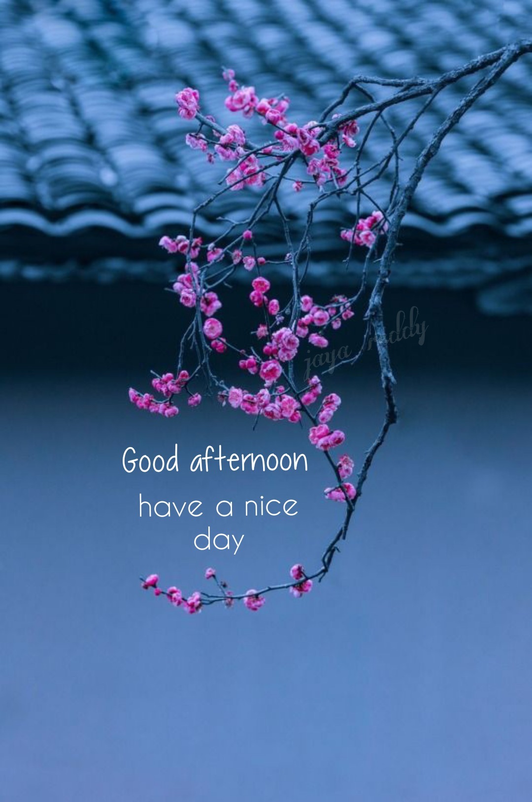 Good Afternoon Rainy Day Wallpapers