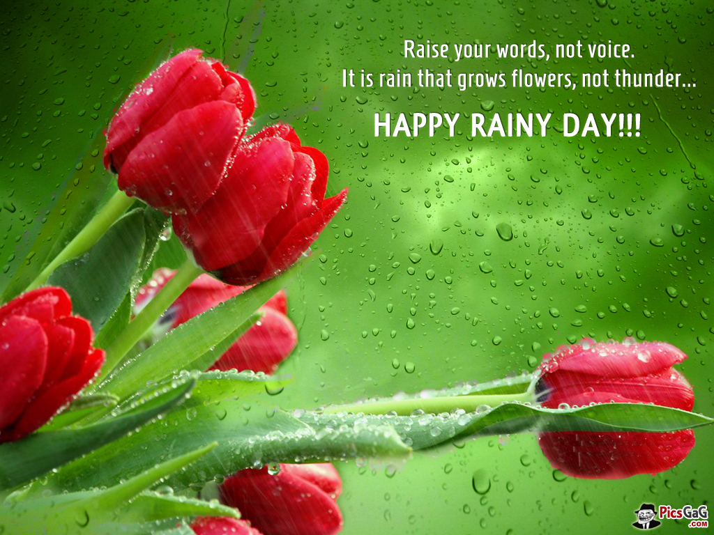 Good Afternoon Rainy Day Wallpapers