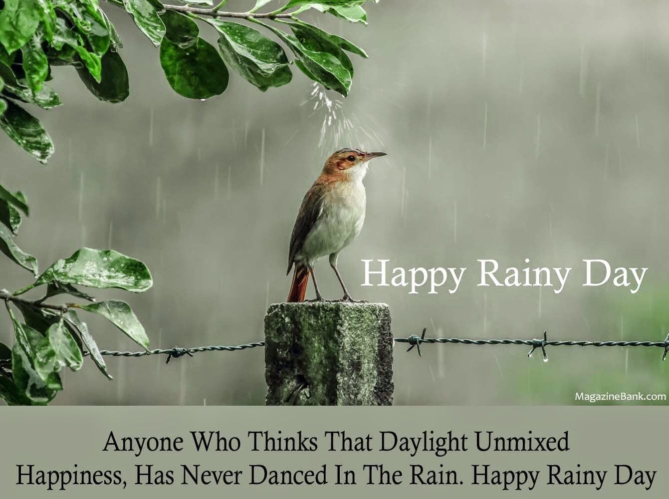 Good Afternoon Rainy Day Wallpapers