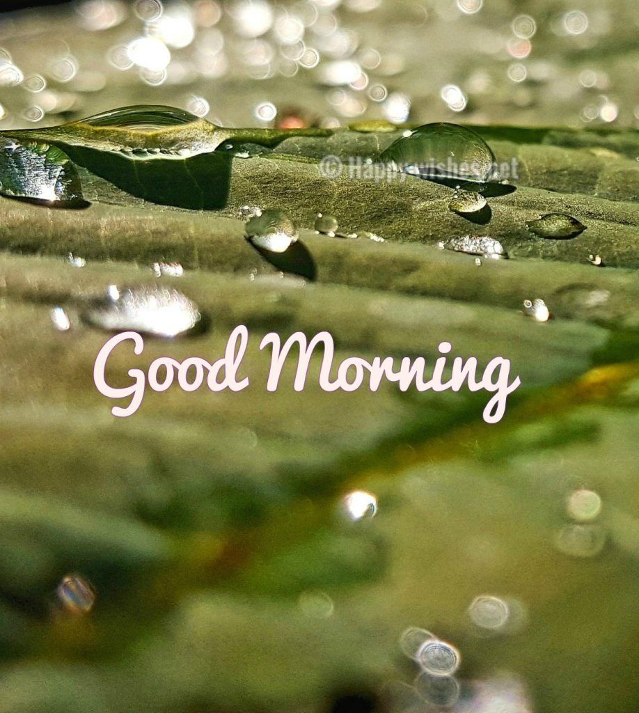 Good Afternoon Rainy Day Wallpapers