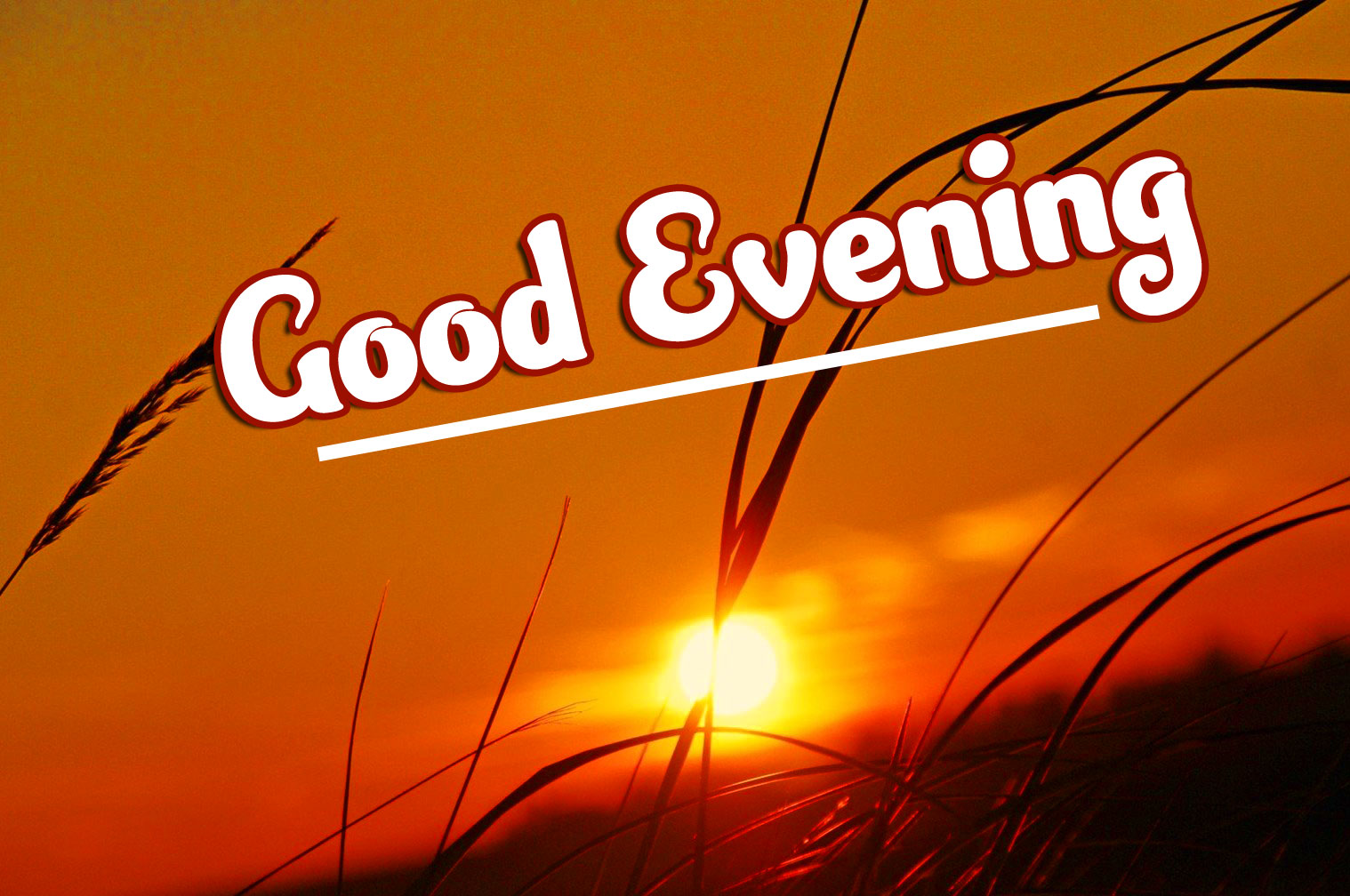 Good Evenings Wallpapers