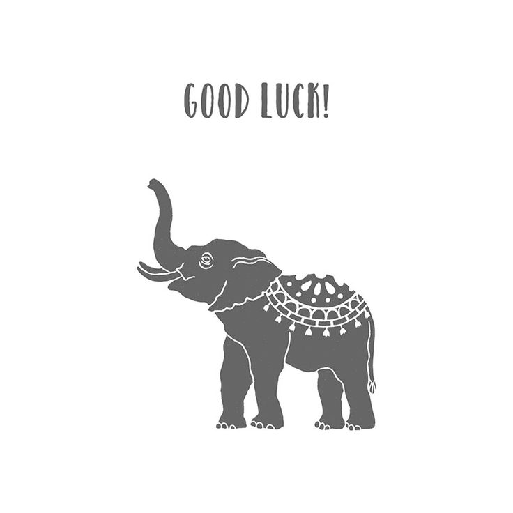 Good Luck Elephant Wallpapers