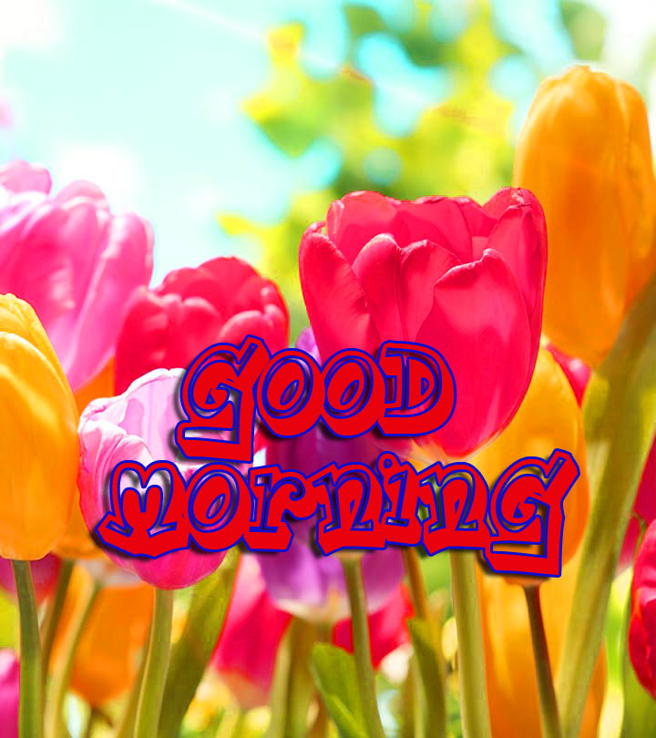 Good Morning 3D Images Wallpapers