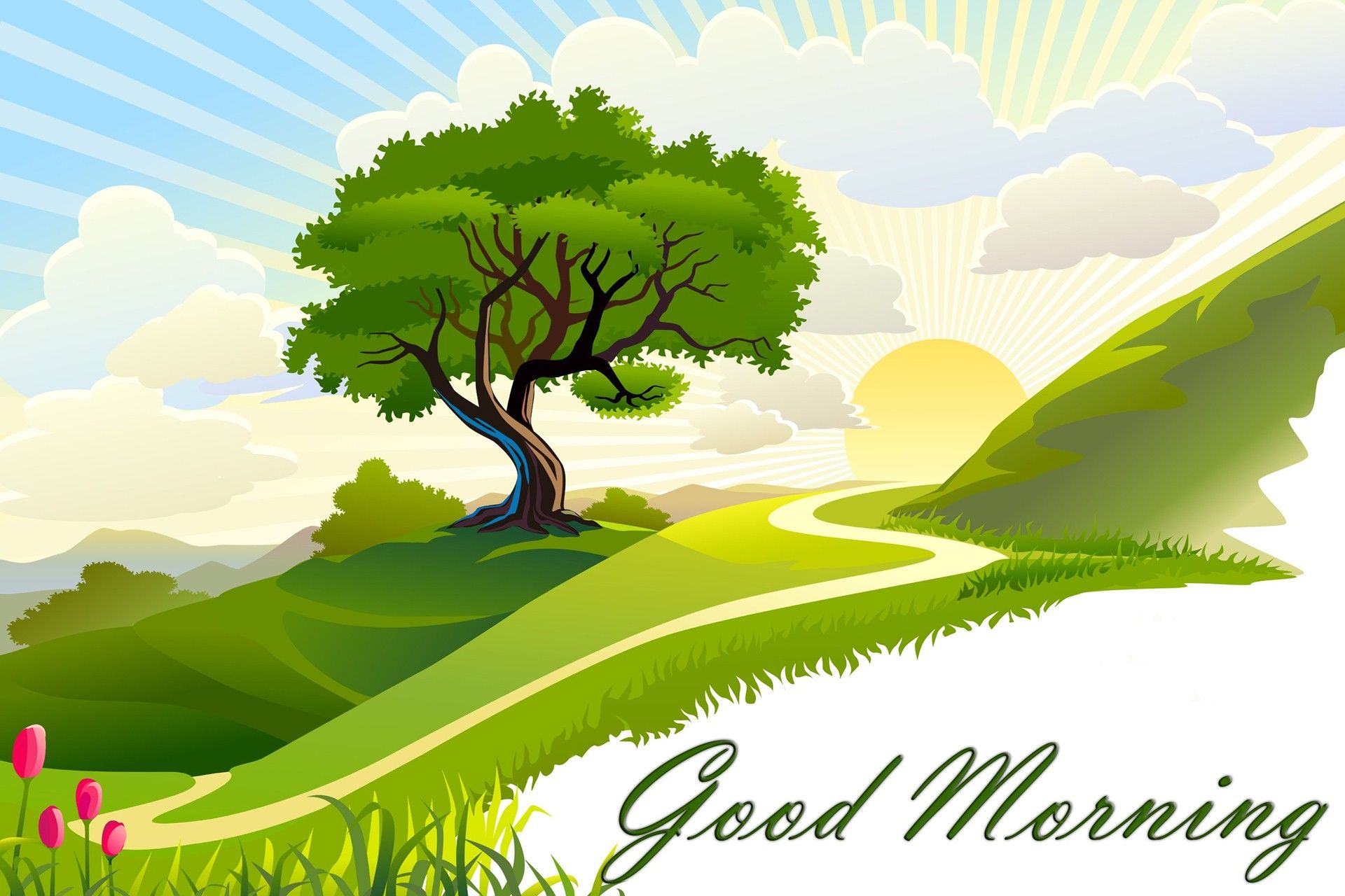 Good Morning 3D Images Wallpapers