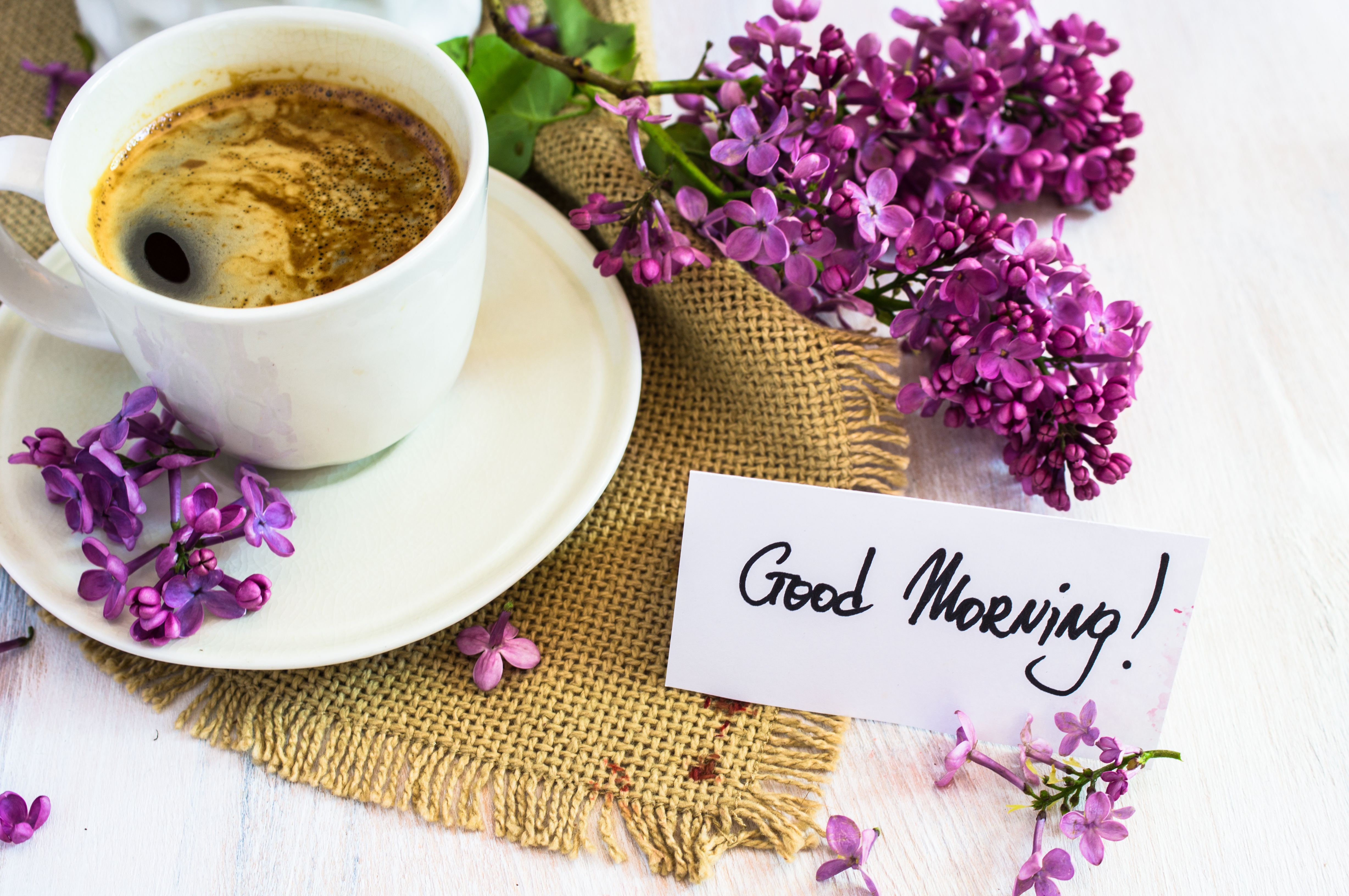 Good Morning 4K Hd Images Wallpapers