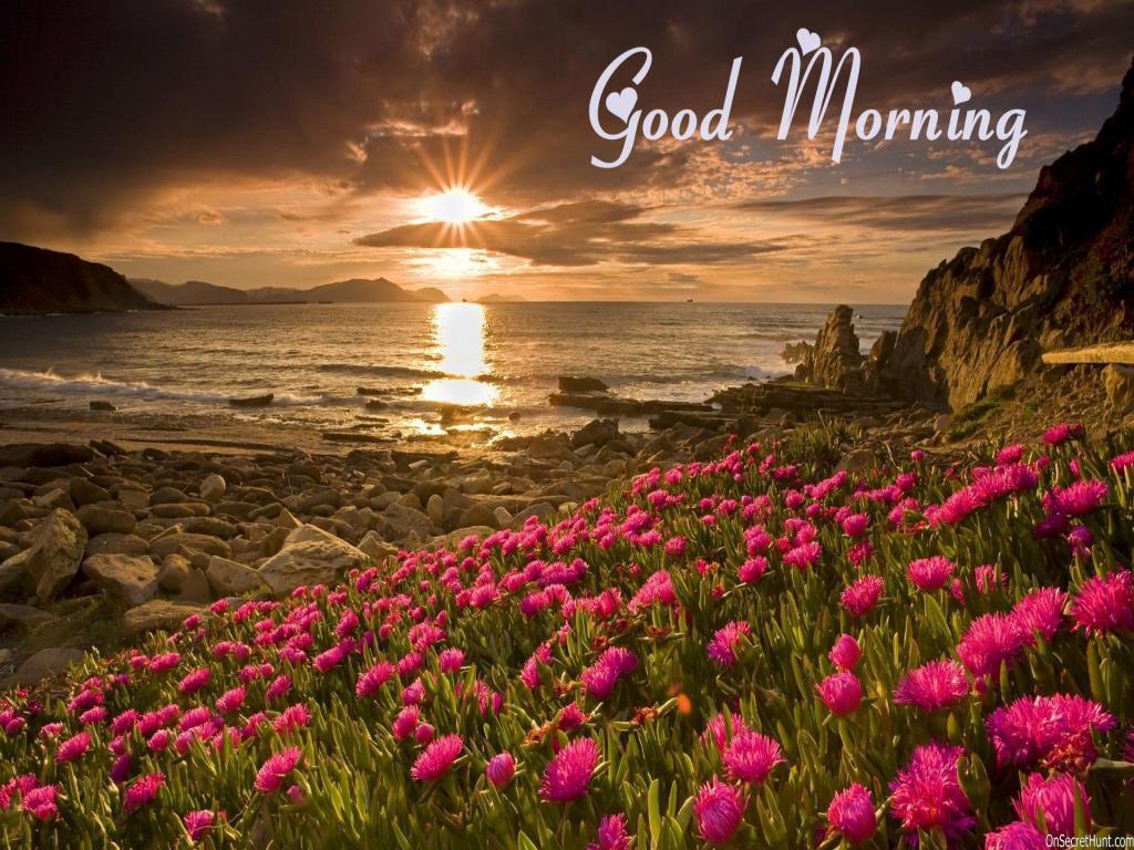 Good Morning 4K Hd Images Wallpapers