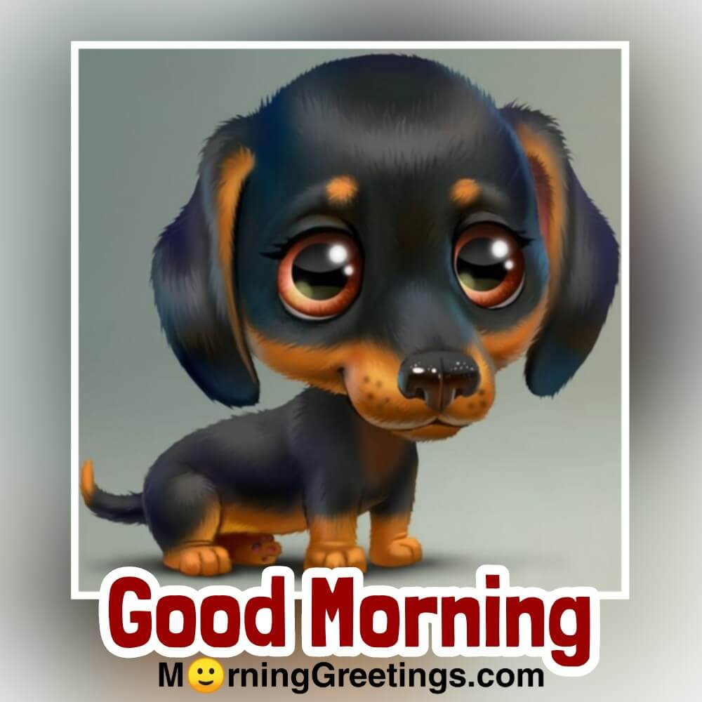 Good Morning Dog Images Wallpapers