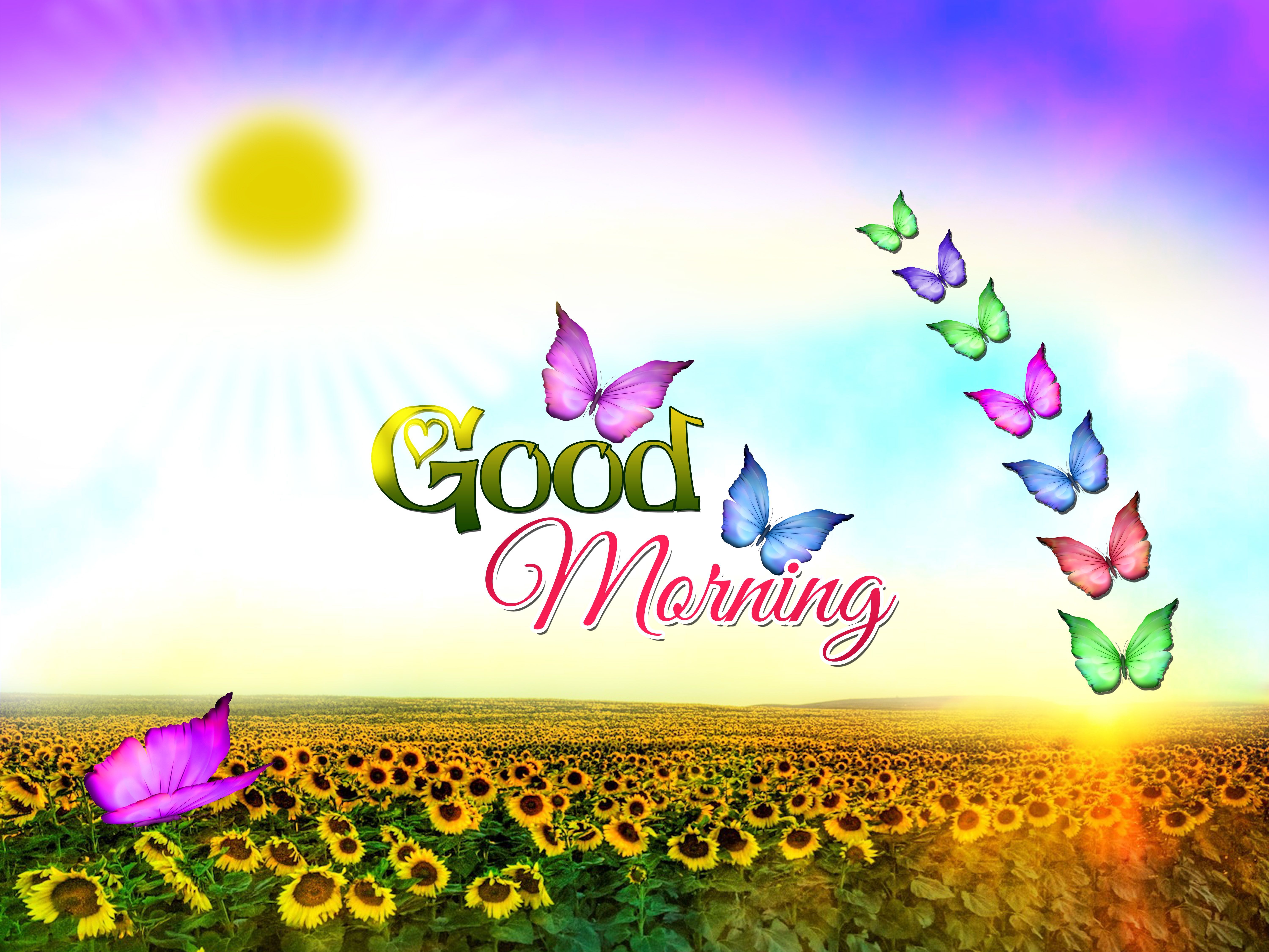 Good Morning Husband Image Hd Wallpapers