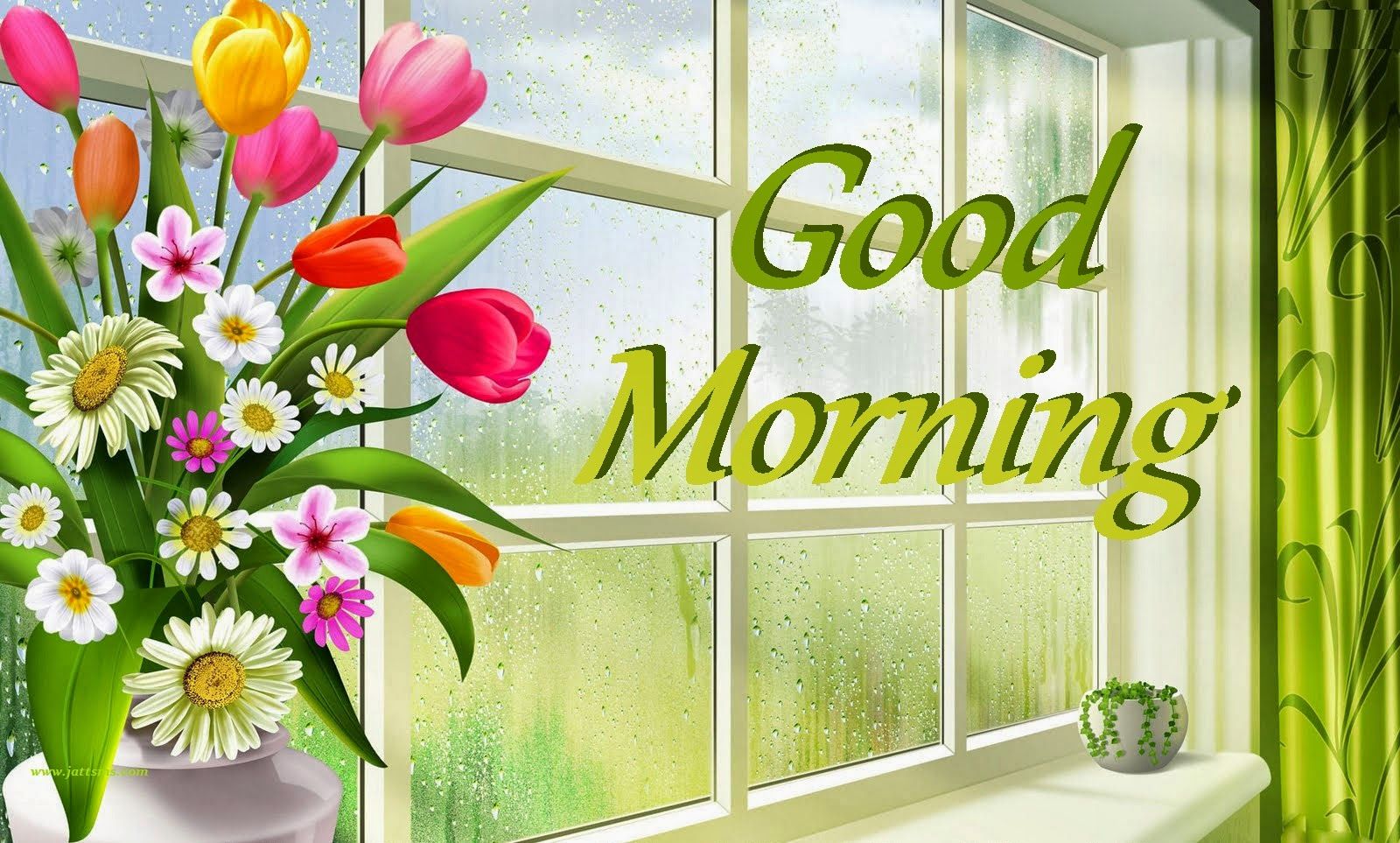 Good Morning Images Download Wallpapers