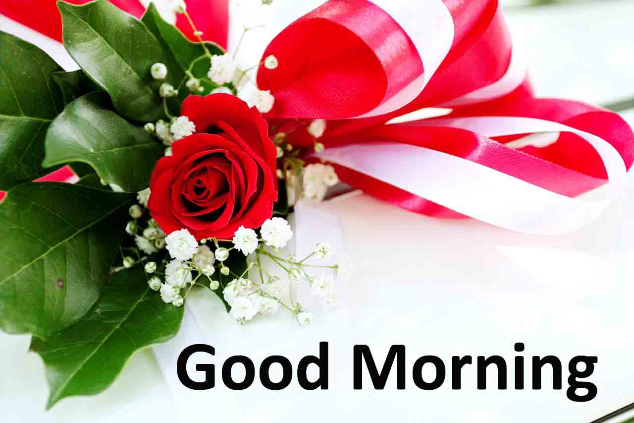 Good Morning Images Download Wallpapers