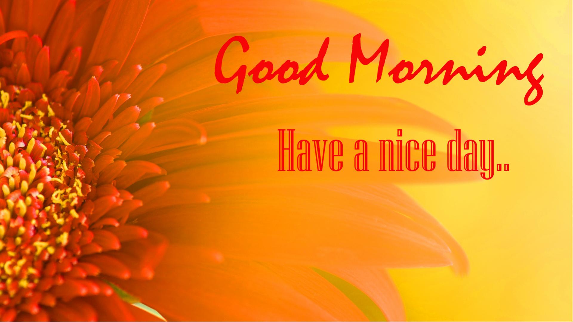 Good Morning Images Hd 1080P Download Wallpapers