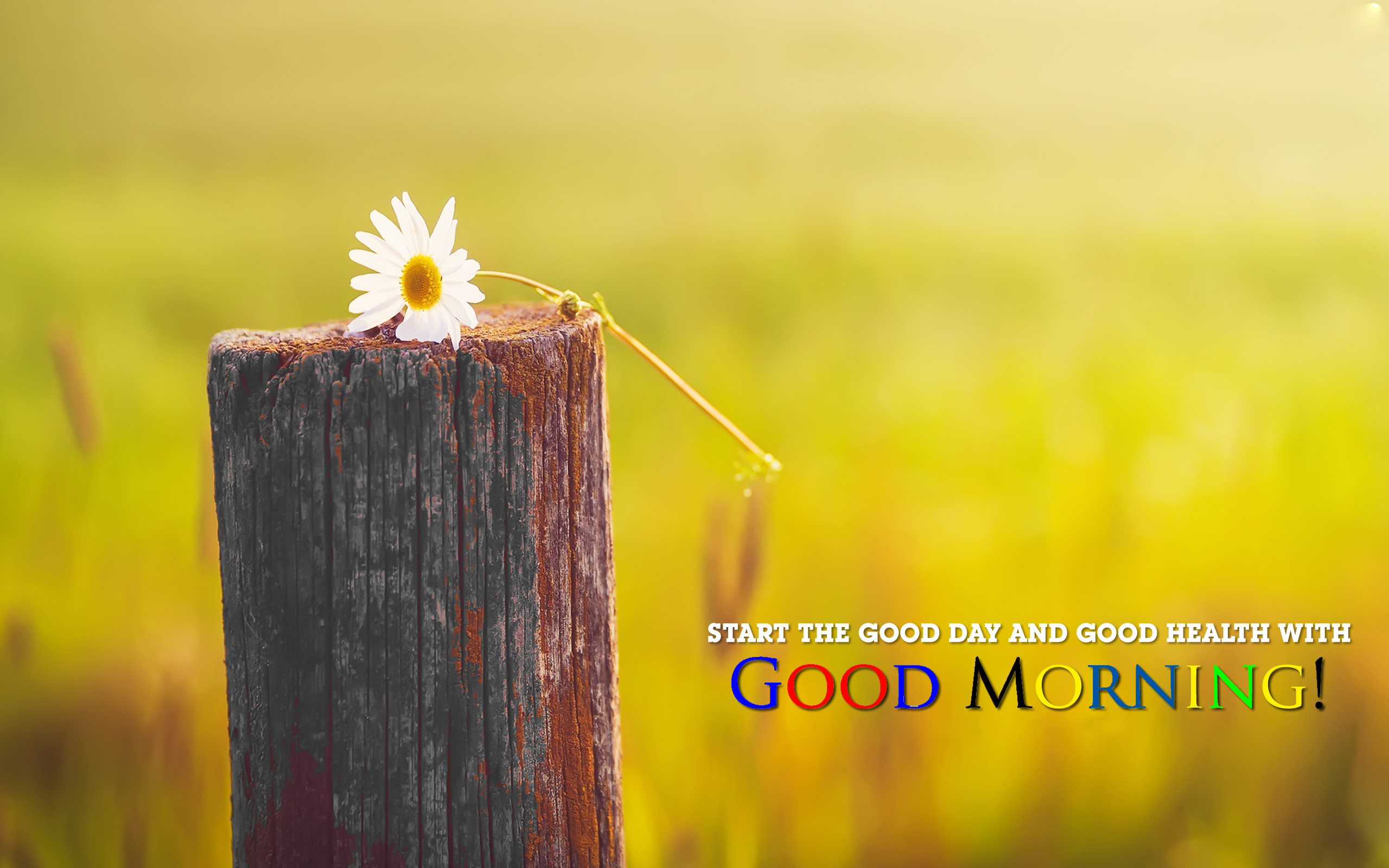 Good Morning Images Hd 1080P Download Wallpapers