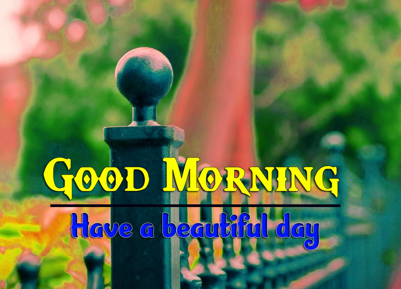 Good Morning Images Hd 1080P Download Wallpapers