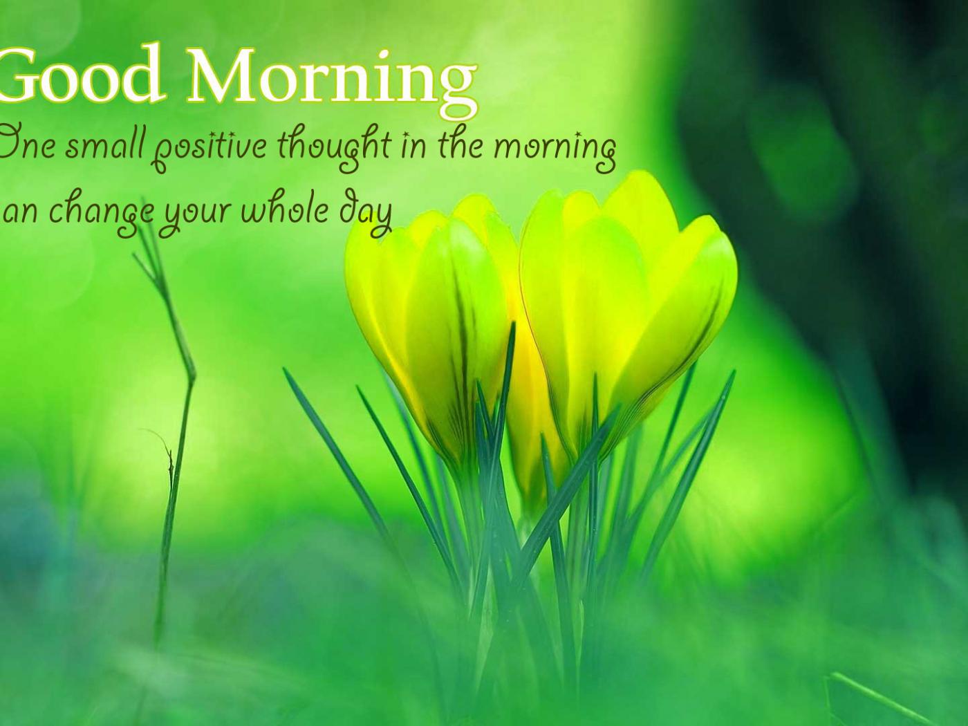 Good Morning Images Hd 1080P Download Wallpapers