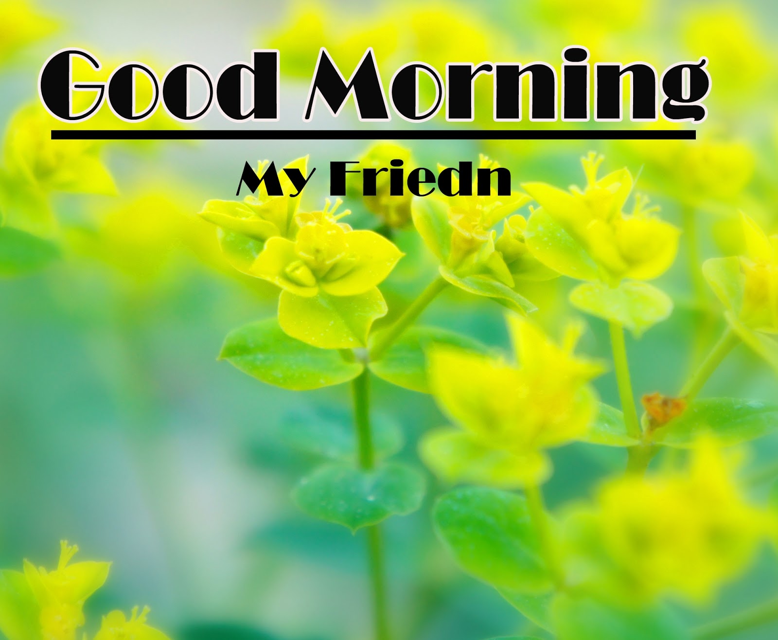 Good Morning Images Hd 1080P Download Wallpapers